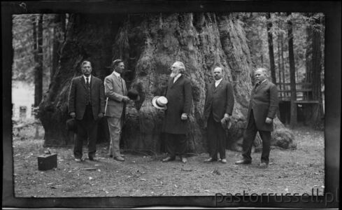 I34 - 1911, June 24 - Santa Cruz, CA, Grove Of Tall Trees Wynik