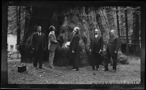 I35 - 1911, June 24 - Santa Cruz, CA, Grove Of Tall Trees Wynik