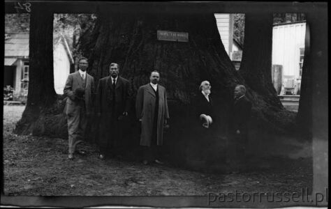 I37 - 1911, June 24 - Santa Cruz, CA, Grove Of Tall Trees Wynik