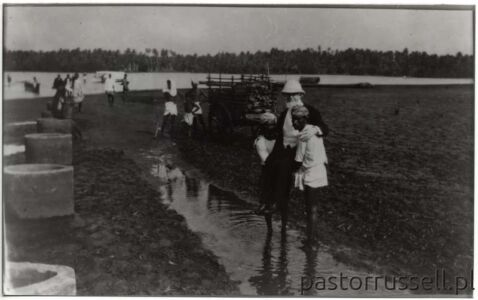I68 - 1912, February 1 - Carried Onto Leper Island - Columbo, Ceylon Wynik